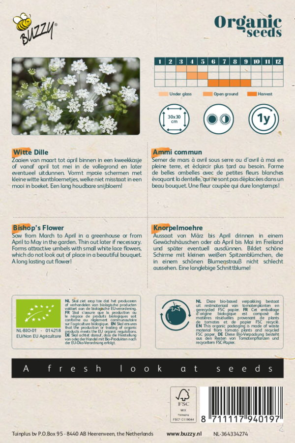 Buzzy® Organic Ammi Majus, Witte Dille (BIO)