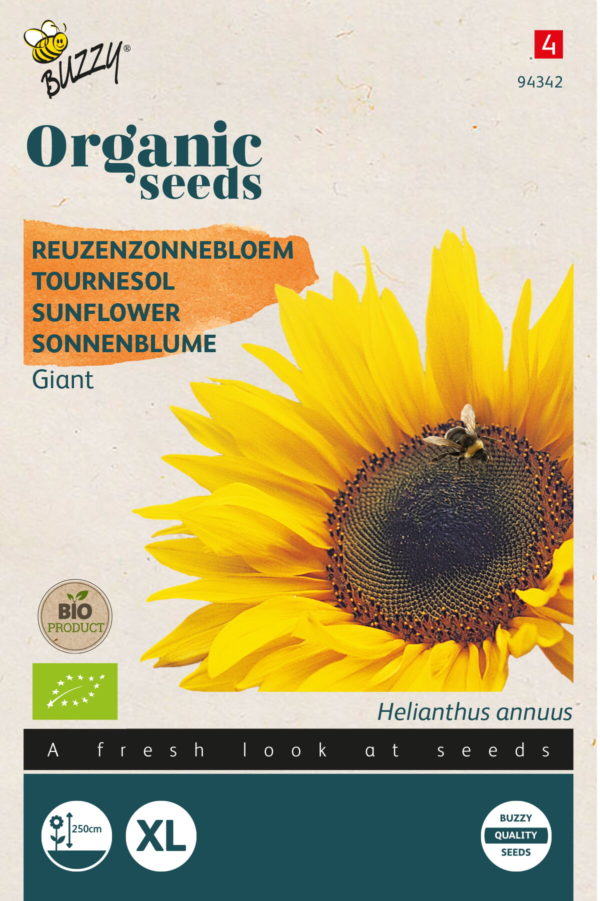 Buzzy® Organic Helianthus, Reuzenzonnebloem giganteus  (BIO)