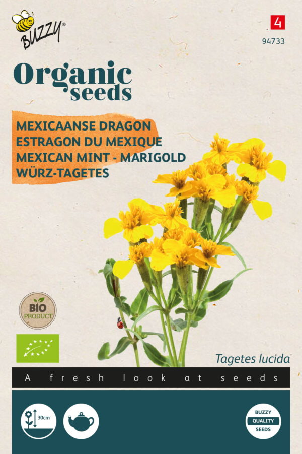 Buzzy® Organic Tagetes Lucida, Mexicaanse dragon (BIO)